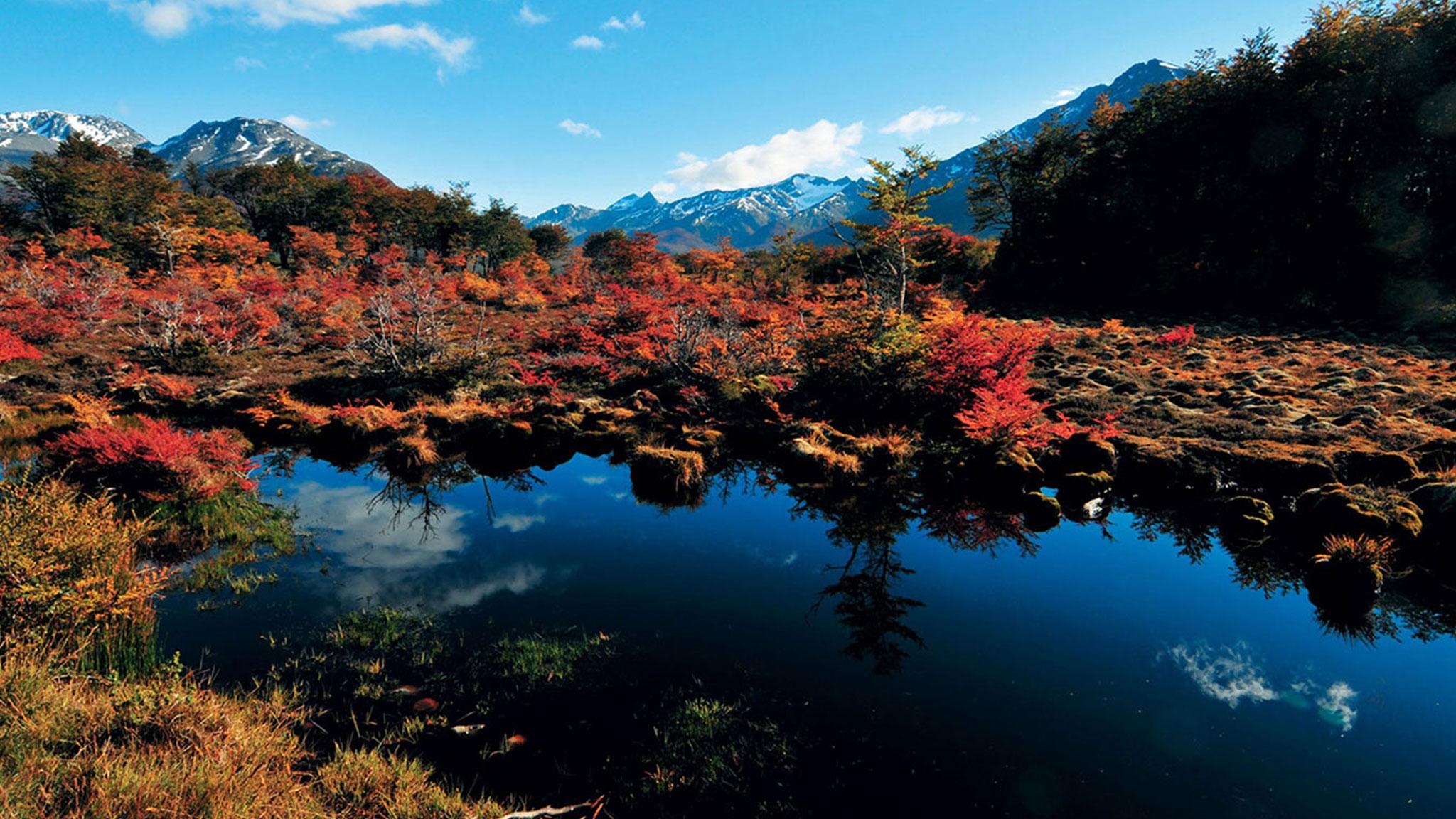 Arakur Ushuaia Resort & Spa Εξωτερικό φωτογραφία Autumn colours at the Ozegahara